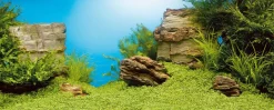 Juwel Achterwand Poster 1 S - Aquarium - Achterwand