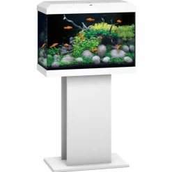 Juwel Aquarium Primo 70 2.0 62x32x41 cm - Aquaria
