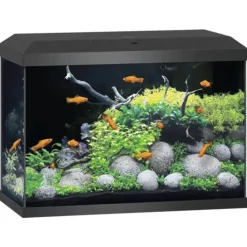 Juwel Aquarium Primo 70 2.0 62x32x41 cm - Aquaria