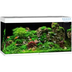 Juwel Aquarium Rio 350 Led 121x51x66 cm - Aquaria