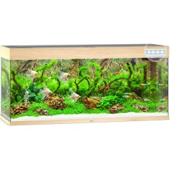 Juwel Aquarium Rio 240 Led 121x41x50 cm - Aquaria