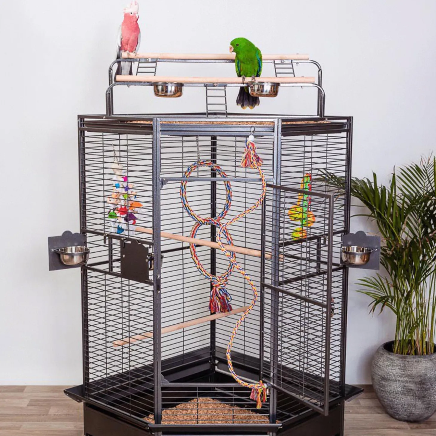 Keddoc Papegaaienkooi Louisiana - Vogelverblijven - 92x81.5x156 cm Donkergrijs