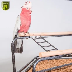 Keddoc Papegaaienkooi Louisiana - Vogelverblijven - 92x81.5x156 cm Donkergrijs