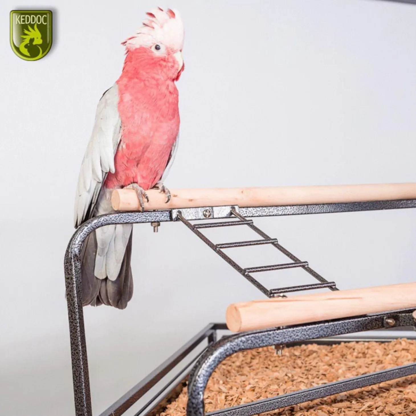 Keddoc Papegaaienkooi Louisiana - Vogelverblijven - 92x81.5x156 cm Donkergrijs