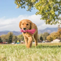 Kong Wubba Puppy - Hondenspeelgoed