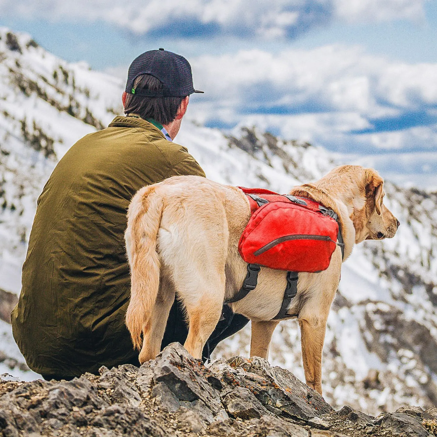 Kurgo Big Baxter Hondenrugzak - Hondendraagzak - Rood 22.5 Tot 50 Kg