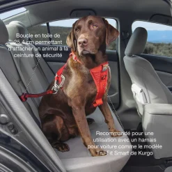 Kurgo Tussenstuk Autogordel - Hondenautoaccessoire