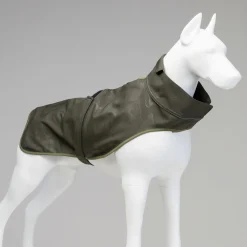 Lindo Honden Regenjas Softshell - Hondenkleding - Groen 3