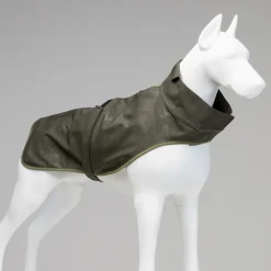 Lindo Honden Regenjas Softshell - Hondenkleding - Groen 2