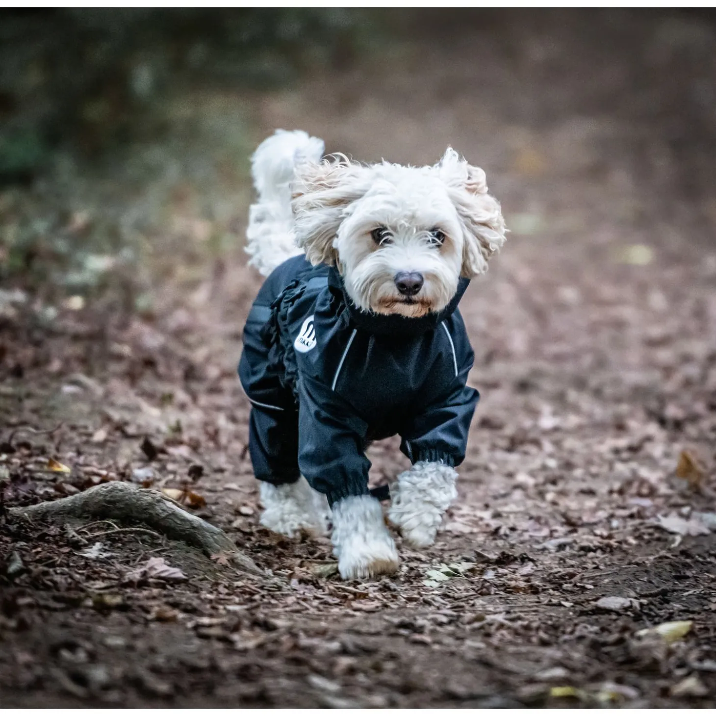 Mikki Doodle Coat Zwart - Hondenjas