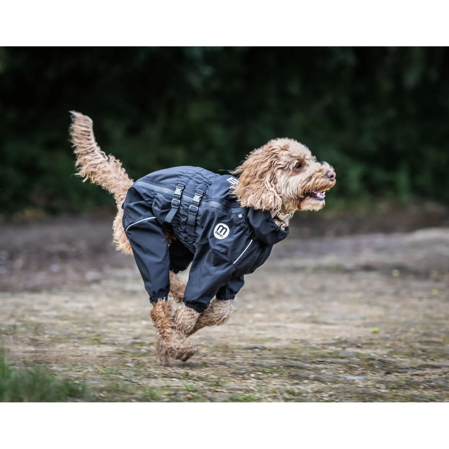 Mikki Doodle Coat Zwart - Hondenjas