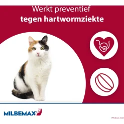 Milbemax Milbemax Kat - Anti wormenmiddel