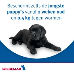 Milbemax Milbemax Pup & Hond - Anti wormenmiddel