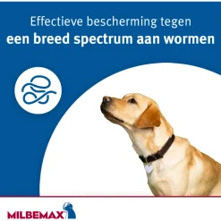 Milbemax Milbemax Pup & Hond - Anti wormenmiddel