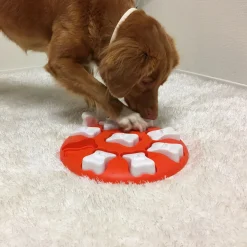 Nina Ottosson Outward Hound Dog Smart Snack Puzzel - Hondenspeelgoed - Ø27.94x4 cm Oranje Level 1