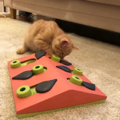 Nina Ottosson Puzzle & Play Melon Madness - Kattenspeelgoed - 25x22 cm Roze Groen Level 2