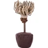Petlando Catnip Chrysant - Kattenkruid Speelgoed - 18.3x12.1x3.5 cm