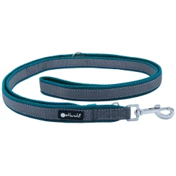 Petlando Trainingslijn Outdoor Grijs&Petrol - Hondenriem