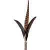 Petlando Vervanging Fazantenveren 2-Pak - Hengel - 18.3x12.1x3.5 cm