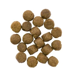 Pets Place Plus Hond Adult Maxi - Hondenvoer - Gevogelte Vlees 12 kg