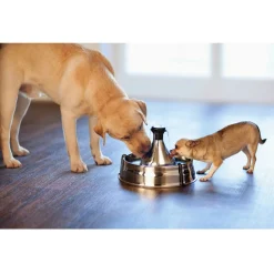 Petsafe Drinkwell 360 Roestvrijstalen Drinkfontein - Hondendrinkbak - 3.8 l