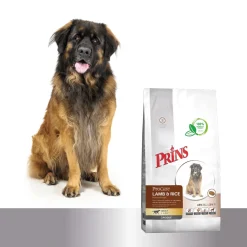 Prins Procare Hypo-Allergic Adult Croque Lam&Rijst - Hondenvoer
