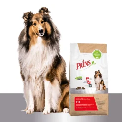 Prins Procare Standard Fit - Hondenvoer