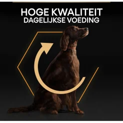 Pro Plan Dog Adult Athletic Large Breed Kip - Hondenvoer