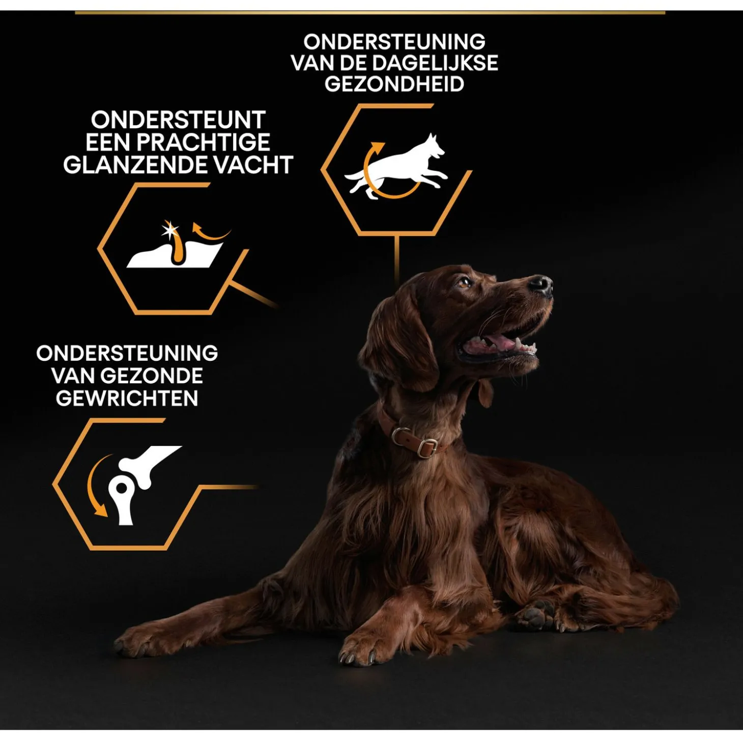 Pro Plan Dog Adult Athletic Large Breed Kip - Hondenvoer