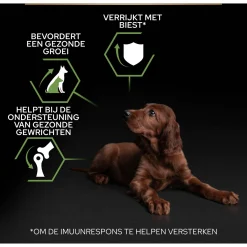 Pro Plan Dog Puppy Large Breed Athletic Kip - Hondenvoer