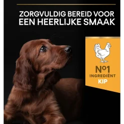 Pro Plan Dog Puppy Large Breed Athletic Kip - Hondenvoer