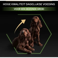 Pro Plan Dog Puppy Large Breed Athletic Kip - Hondenvoer