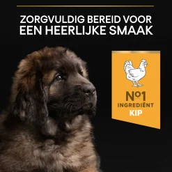 Pro Plan Dog Puppy Large Breed Robust Kip - Hondenvoer