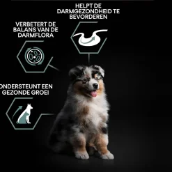 Pro Plan Dog Puppy Medium Breed Sensitive Digestion Lam - Hondenvoer