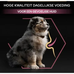 Pro Plan Dog Puppy Medium Breed Sensitive Zalm - Hondenvoer
