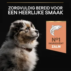 Pro Plan Dog Puppy Medium Breed Sensitive Zalm - Hondenvoer