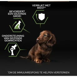 Pro Plan Dog Puppy Small & Mini Breed - Hondenvoer - Kip 3 kg