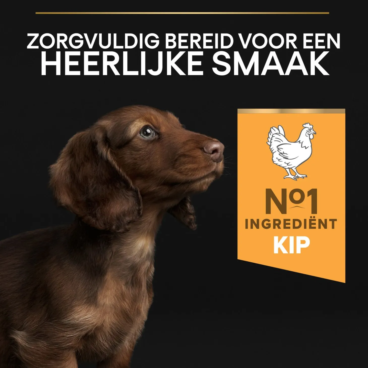 Pro Plan Dog Puppy Small & Mini Breed - Hondenvoer - Kip 3 kg