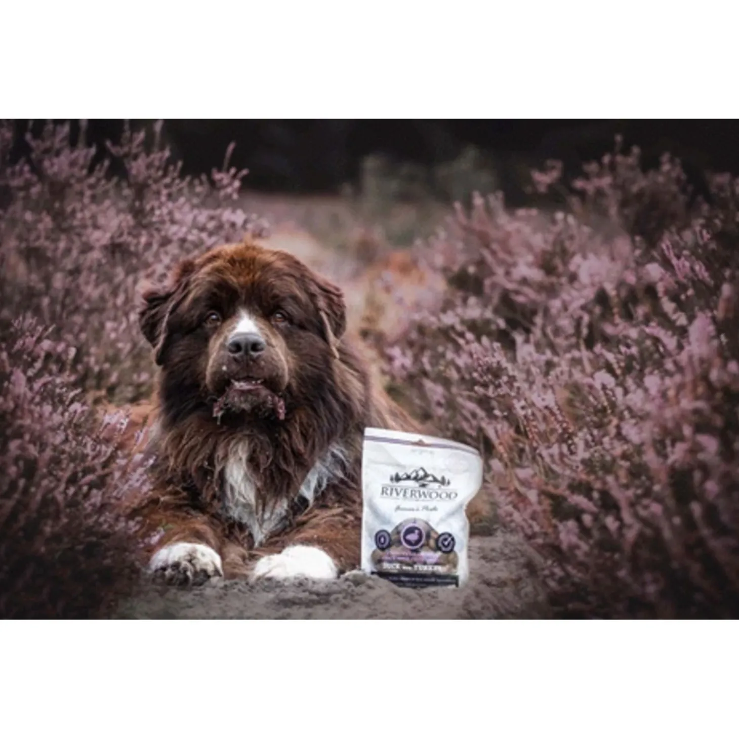 Riverwood Crunchy Farmers Pride - Hondensnacks - Eend Kalkoen Cranberry 200 g
