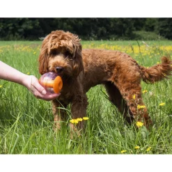 Rosewood Voerbal Met Geluid - Hondenspeelgoed - Oranje