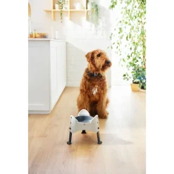 Rotho Mypet Sammy - Verstelbaar - Hondenvoerbak - 1.02 l Wit