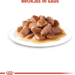 Royal Canin Ageing +12 - In Gravy - Kattenvoer - 12x85 g Bonuspack