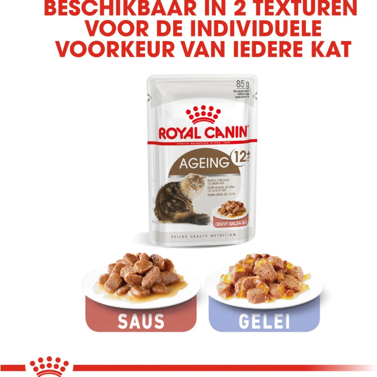 Royal Canin Ageing +12 - In Gravy - Kattenvoer - 12x85 g Bonuspack