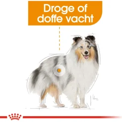 Royal Canin Coat Care Natvoer - Hondenvoer - 12x85 g