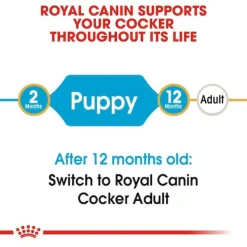 Royal Canin Cocker - Puppy-Hondenvoer - 3 kg