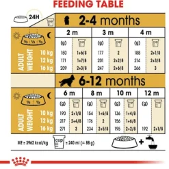 Royal Canin Cocker - Puppy-Hondenvoer - 3 kg