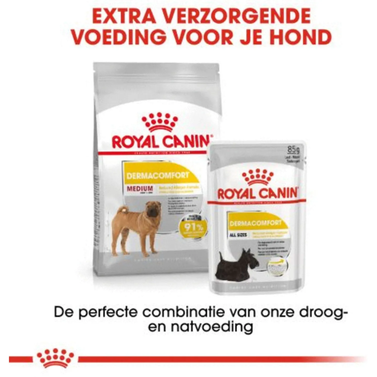 Royal Canin Dermacomfort Medium - Hondenvoer