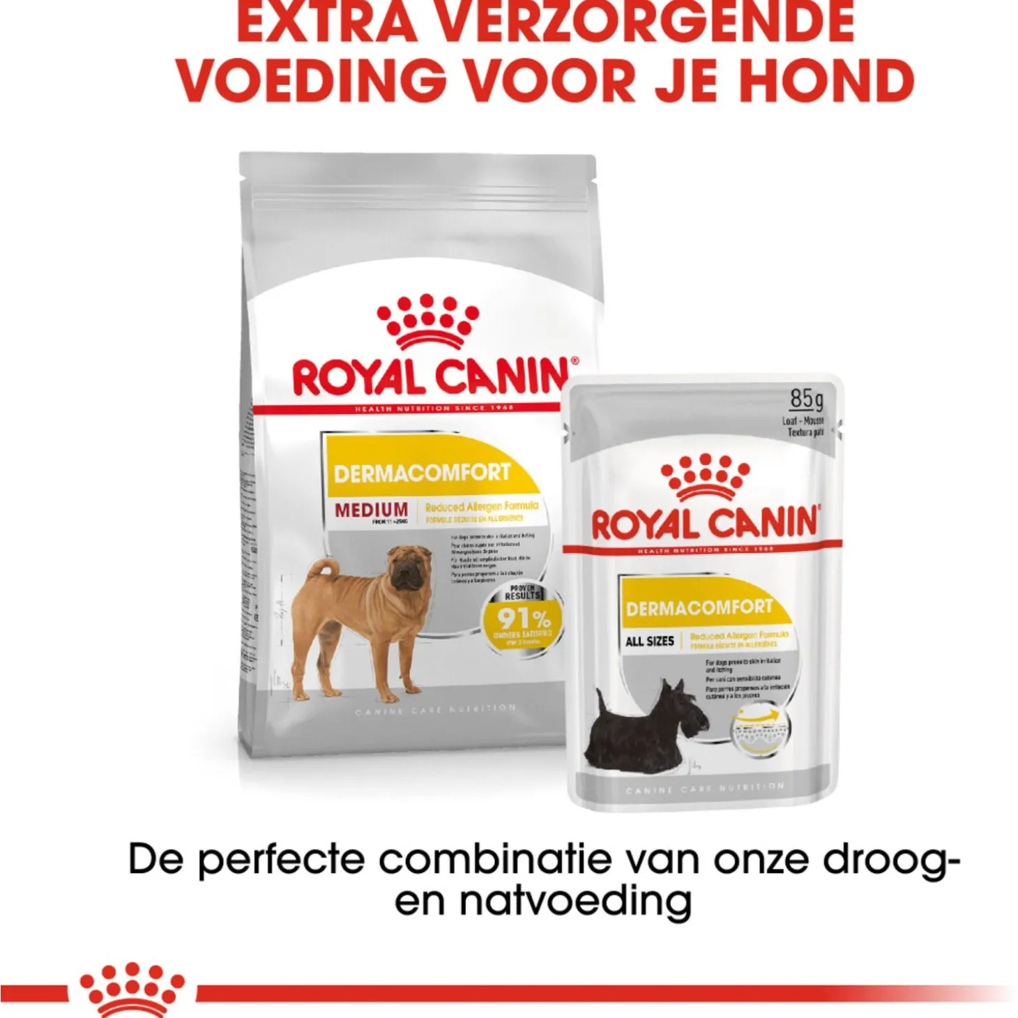 Royal Canin Dermacomfort Medium - Hondenvoer