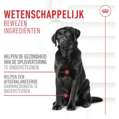 Royal Canin Digestion Chews - Hondensnacks - 160 g