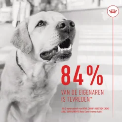 Royal Canin Digestion Chews - Hondensnacks - 160 g